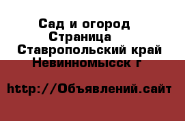 Сад и огород - Страница 3 . Ставропольский край,Невинномысск г.